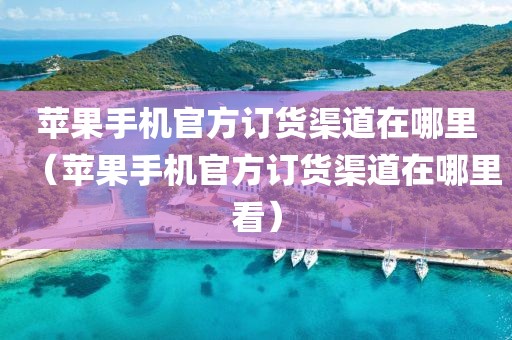 苹果手机官方订货渠道在哪里（苹果手机官方订货渠道在哪里看）